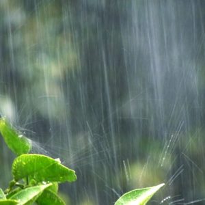 「水害」が多発・激甚化！自然災害リスクで不動産の価値が下がる？